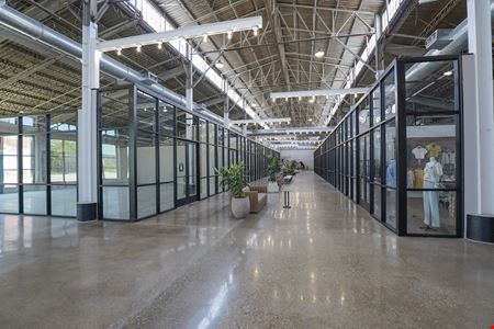 Webster Market