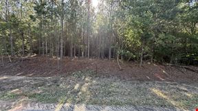 15 Acres in Pansey, AL | Planted Pines & Privacy