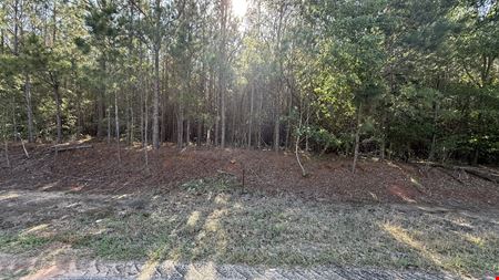 VacantLand space for Sale at 15 Acres in Pansey, AL | Planted Pines & Privacy in Pansey