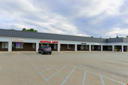 DeWitt Shopping Center