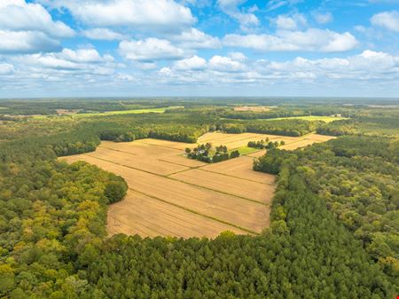 Riley Farm - 109.47 Acres of Ag Land