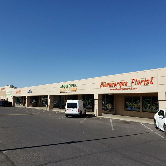 La Mesa Shopping Center