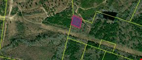 Backwoods Fraternity Initiation Site or Cabin Site In The Woods 1 Acre