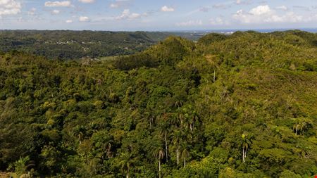 Arecibo Vacant Land @ Arrozal Ward - For Sale
