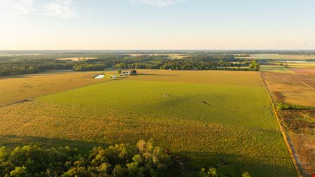 24795 County Road 32