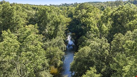 Town Creek Timber 40 Acres