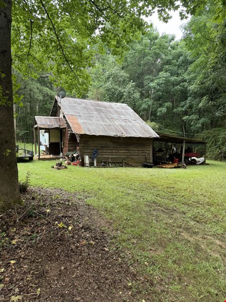 Dub Walker Rd - 314.47 Acres