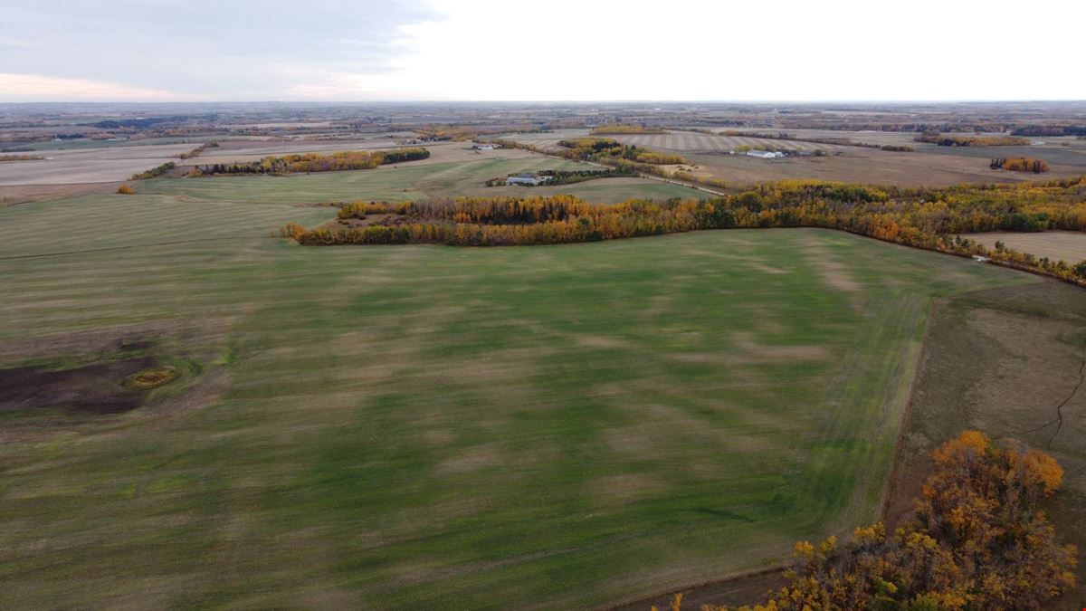 Schickedanz West - 193.21 Acres