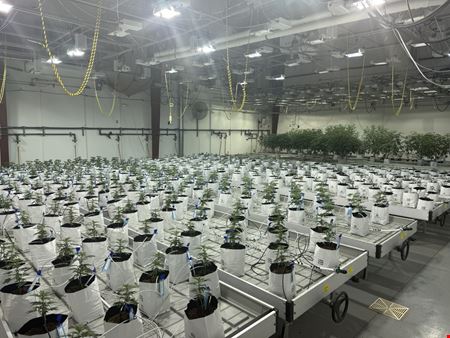 Clare - Operating Cultivation/Processing Facility