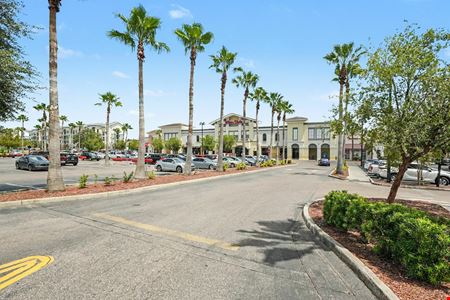 Temple Terrace Marketplace