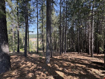 1250 Whispering Pines Ln