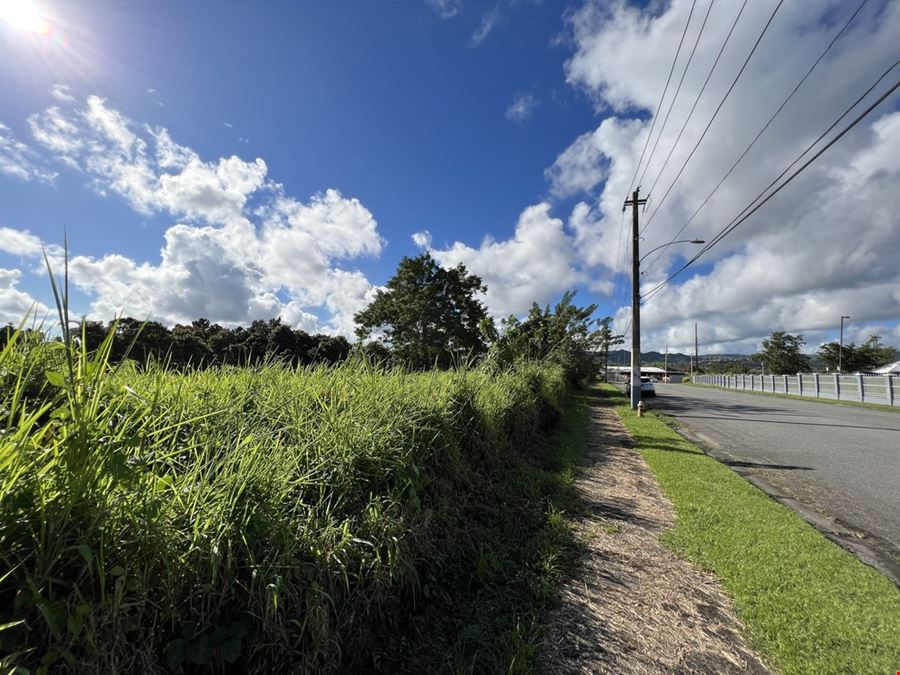 Las Piedras Industrial Park - Vacant Lots 12 & 13 - For Sale
