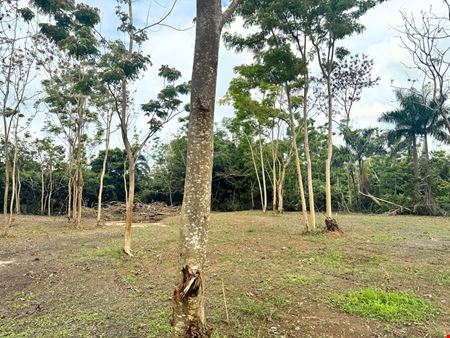 Outdoor Storage Lease Opportunity - Off Martinez Nadal Expressway @ Guaynabo
