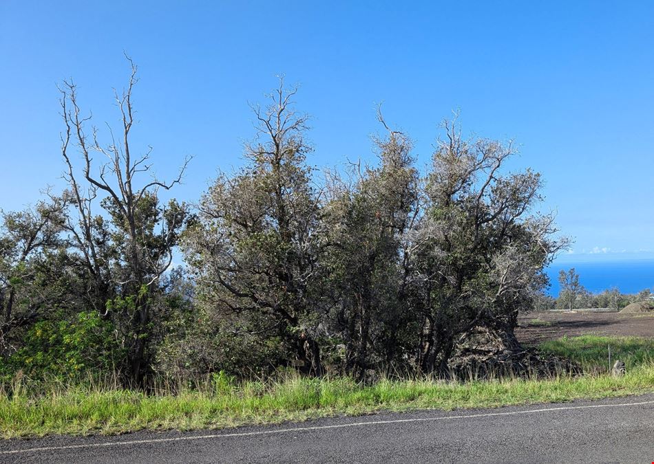 Lehua Court