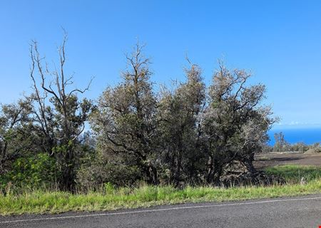 Lehua Court