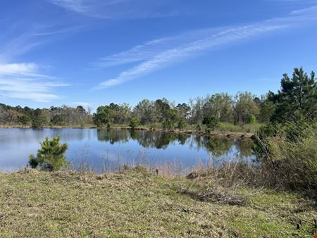 28 ± Acre Patterson Road Tract