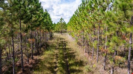 Dunn Creek Tract