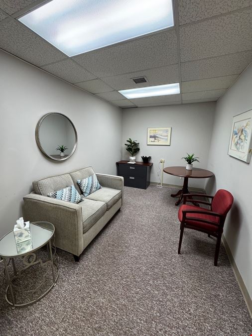 CEO Suites, Inc