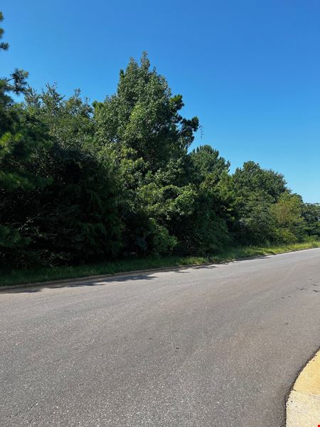 40 Acres For Lease or Sale Lincoln AL