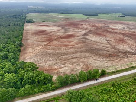 VacantLand space for Sale at County Line Pasture Land in Clopton