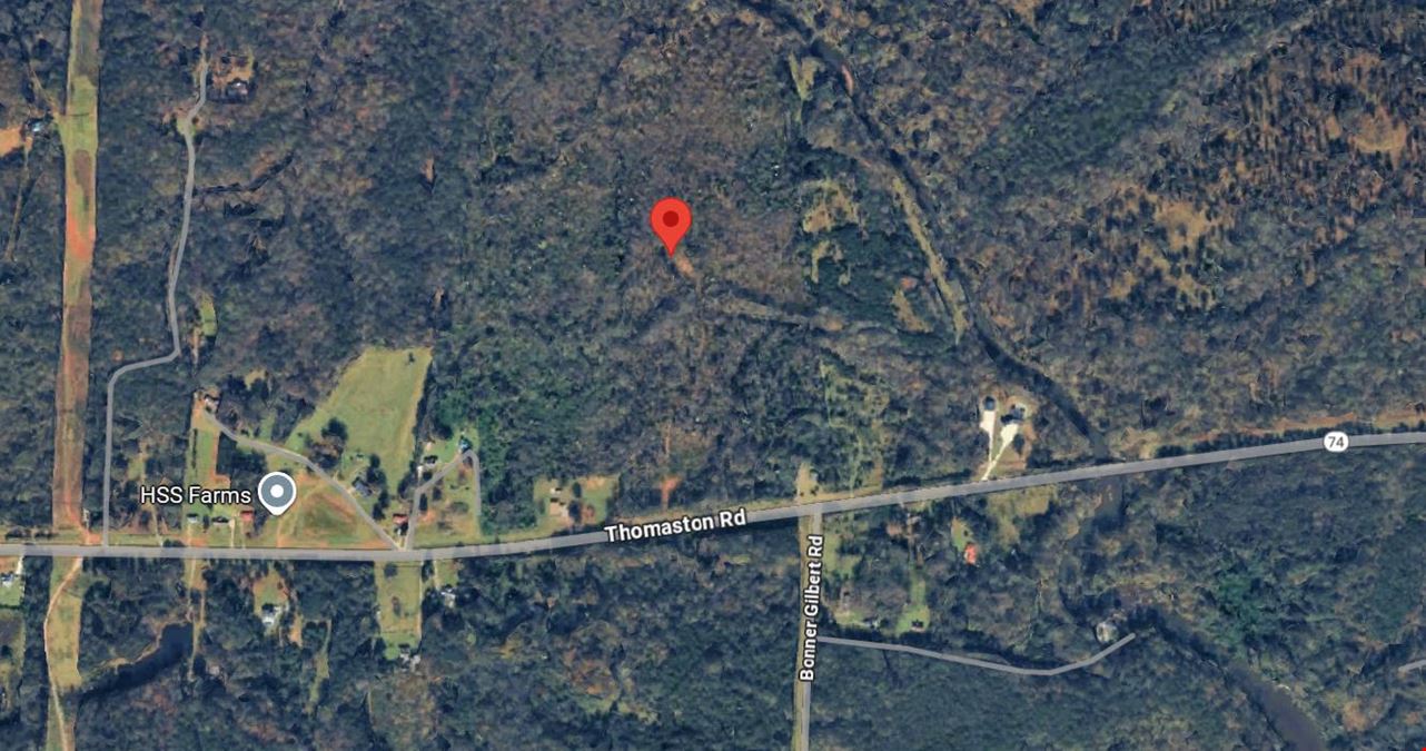 8531 Thomaston Rd