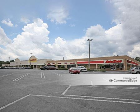 Retail space for Rent at Skipper Palms Shopping Center in Lutz