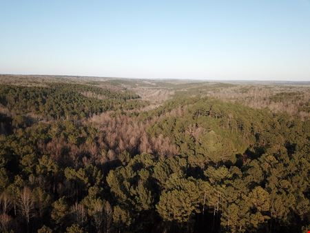 VacantLand space for Sale at Mt Zion Road - 34.26 Acres in Whitesburg