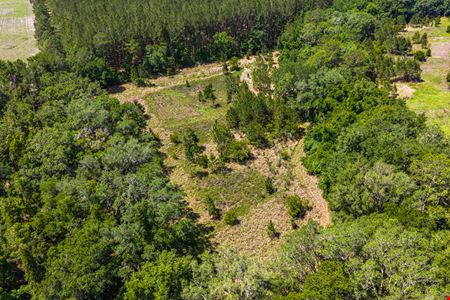 East Alachua County 35 Acre Recreation Tract