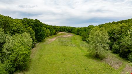 Warsaw Deer & Turkey Farm