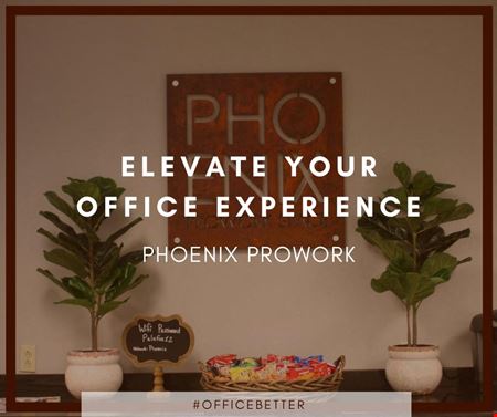 Phoenix Prowork Nobles