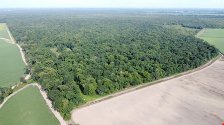 VacantLand space for Sale at Recreational & Hunting Tract in Rosedale