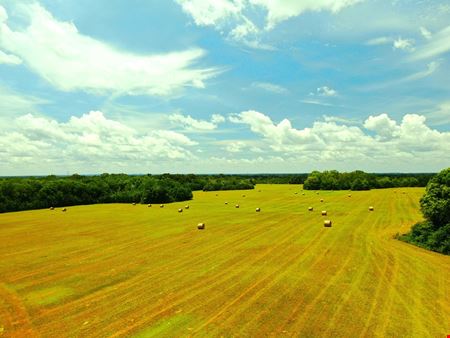 Hobbie Road Farm