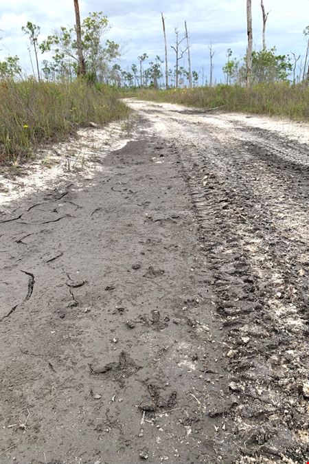 Jupiter 640 Acre Recreational Tract