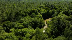 Raccoon Creek Hunting & Timber