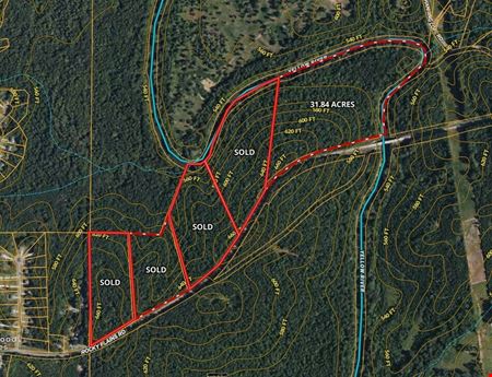 402 Rocky Plains Road - 31.84 Acres (Yellow River Tract 5)