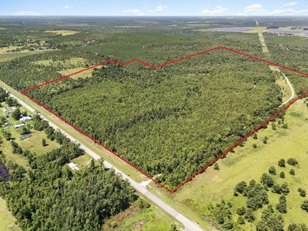 VacantLand space for Sale at Calhoun 102 in Altha