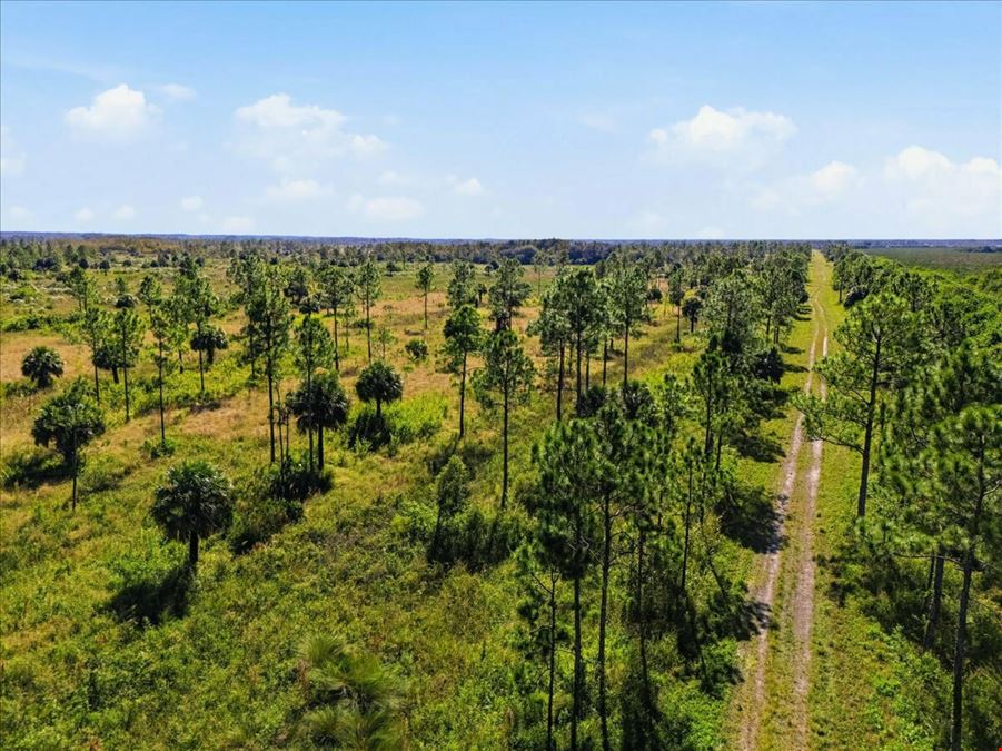 Big Cypress Preserve