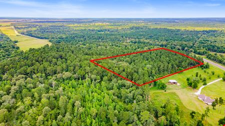 Strategic Land Investment in Trinity