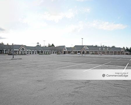 Commercial space at Dorsey's Search Village Center in Ellicott City