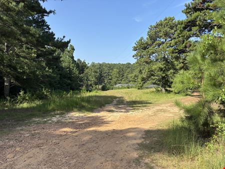 8500 Cedar Grove Road - 18.2 Acres