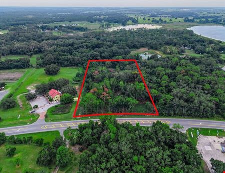 COUNTY ROAD 48 Yalaha, FL 34797