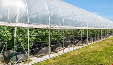 Breedsville - Former Operating/Turnkey Greenhouse Cultivation Site