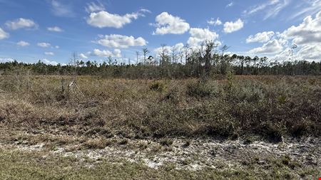 VacantLand space for Sale at 20-Acre  in Altha, Fl -AG Zoned with Development Potential in Altha