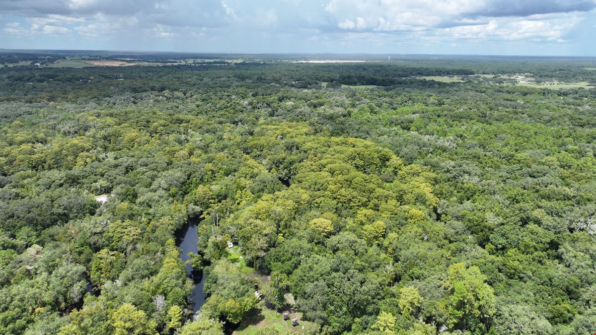 Hernando County 275 ± Acres
