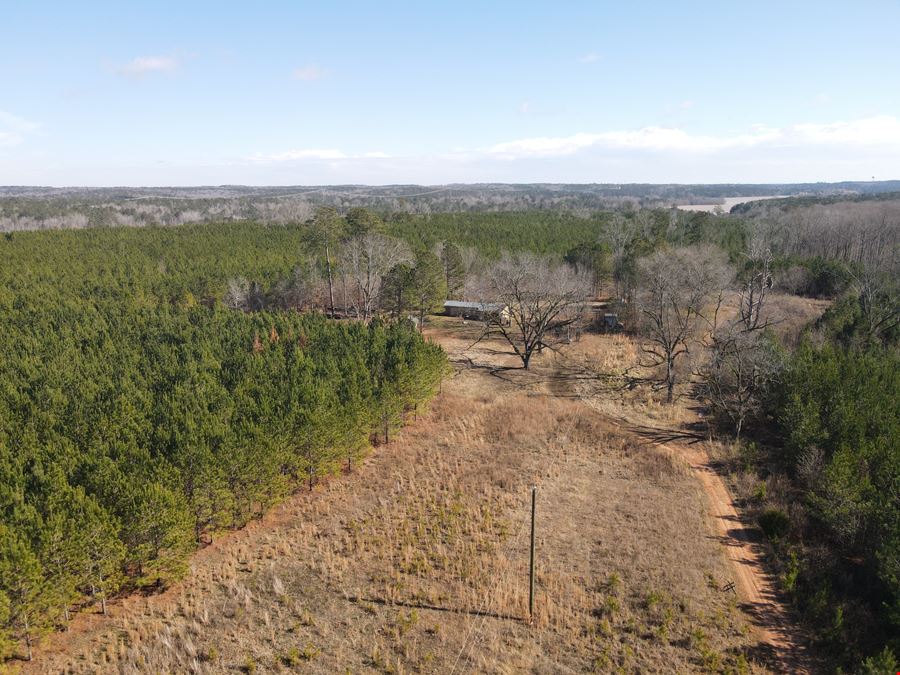 Rocky Creek Road - 341.52 Acres