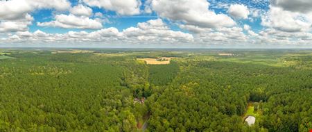 Riley Farm - 109.47 Acres of Ag Land