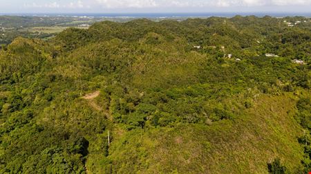 Arecibo Vacant Land @ Arrozal Ward - For Sale
