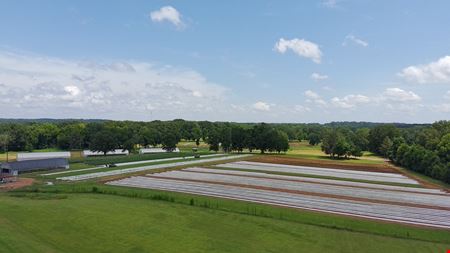 +/- 14.1 ac. Flora, MS