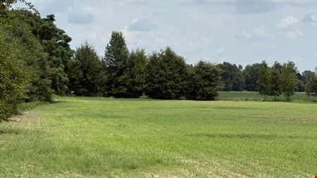 19± Acres in Bascom, FL – Ideal Homesite or Hobby Farm