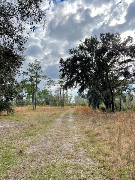 Old Florida Ranch Recreational Land